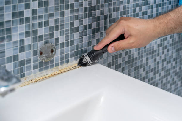 Best Insurance-Related Mold Remediation in Short Pump, VA