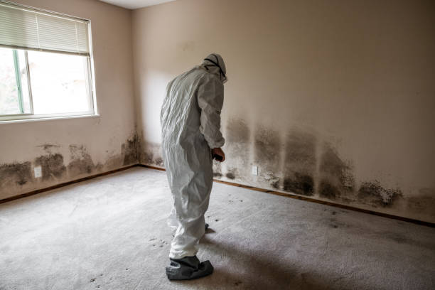 Best Industrial Mold Remediation in Short Pump, VA
